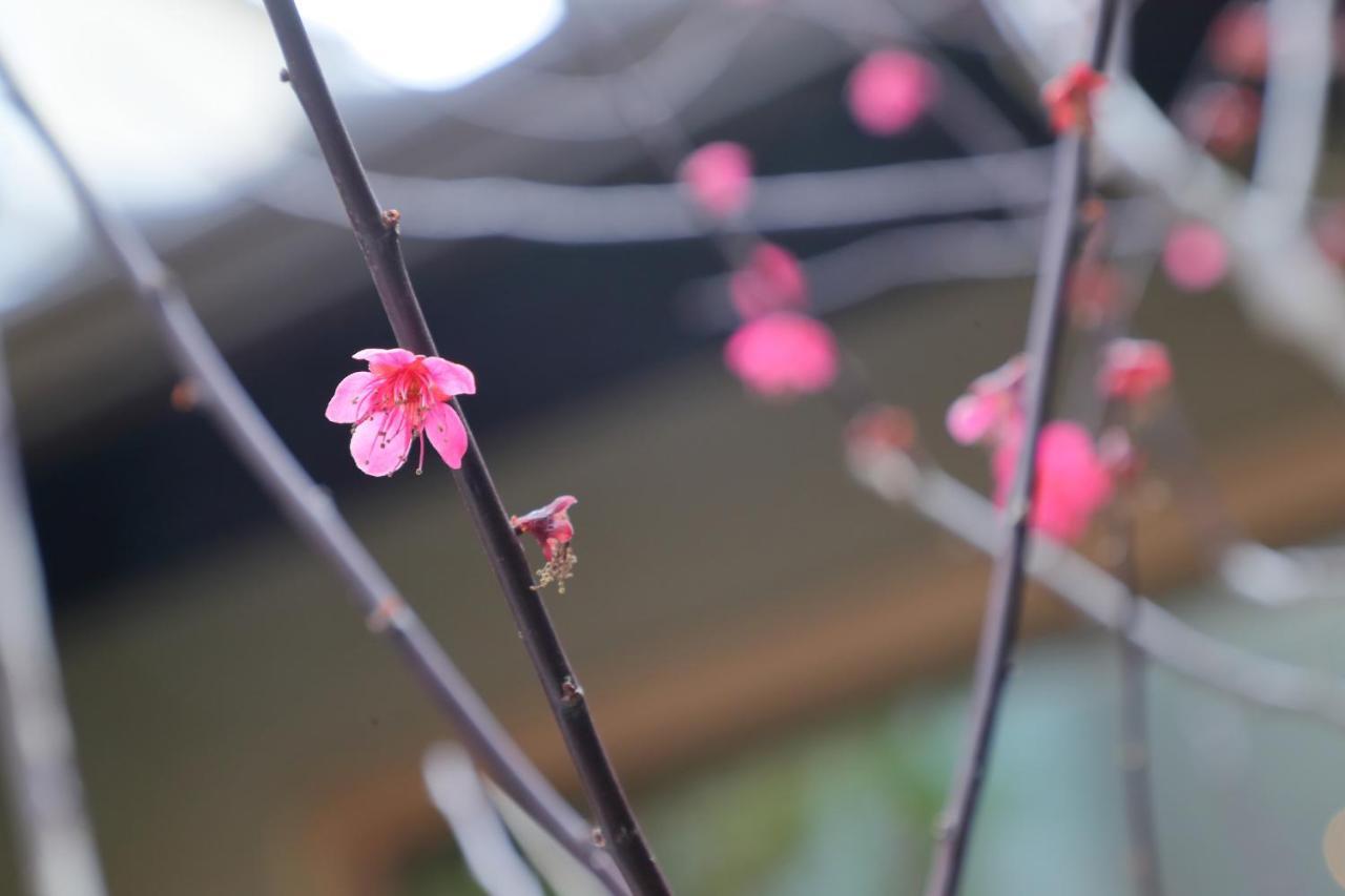 Kyo No Oozora Saika Villa เกียวโต ภายนอก รูปภาพ